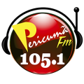 pericuma-fm-logomarca-02